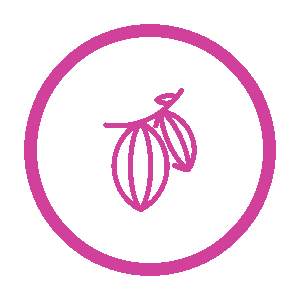 iconos web kx